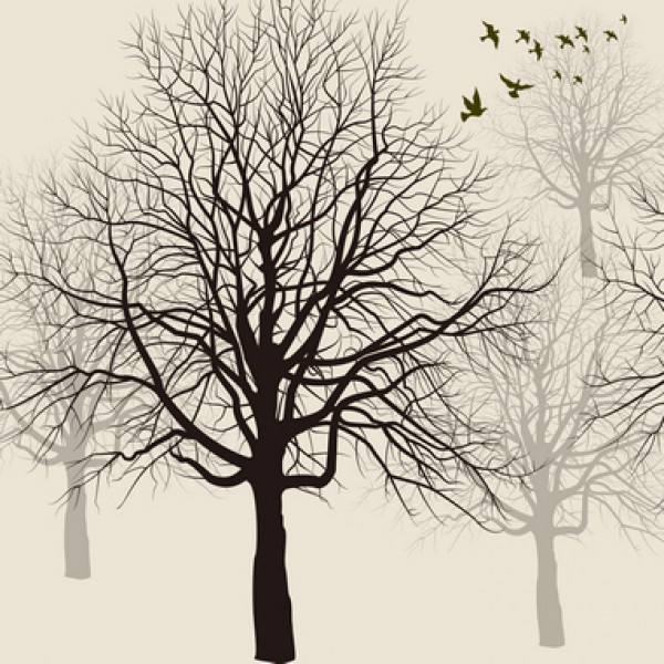 LS-ДЕРЕВЬЯ-26