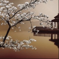 LS-ДЕРЕВЬЯ-27