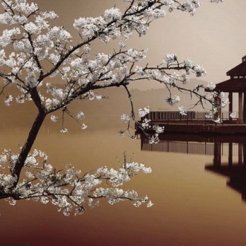 LS-ДЕРЕВЬЯ-27