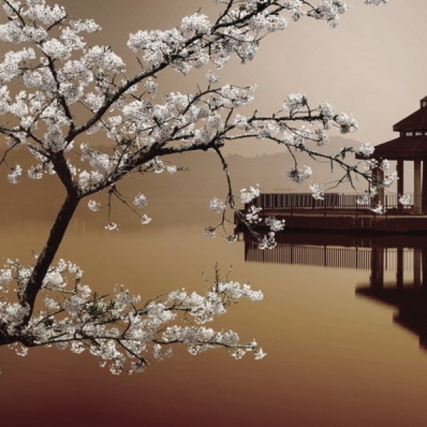 LS-ДЕРЕВЬЯ-27