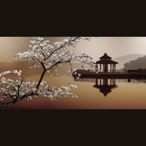 LS-ДЕРЕВЬЯ-27