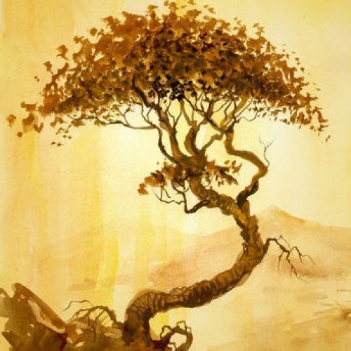 LS-ДЕРЕВЬЯ-29