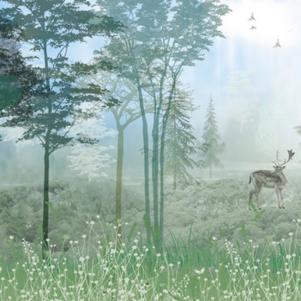 LS-ДЕРЕВЬЯ-32