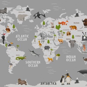 LS-ДЕТСКИЕ-25