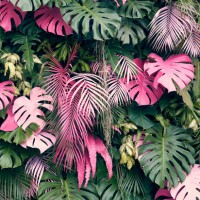 LS-ТРОПИКИ-20