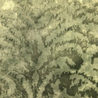 Велюр BERNINI V-1 Велюр BERNINI V-1